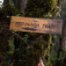 Tergola to become model for Red Panda conservation-led ecotourism