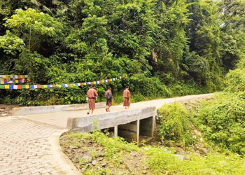 New paver block road ends years of monsoon disruptions in Garpawoong village