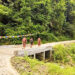 New paver block road ends years of monsoon disruptions in Garpawoong village