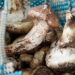Rising matsutake demand meets limited supply in Genye