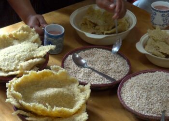 Radhi farmers look to wider markets for Handa Tengma