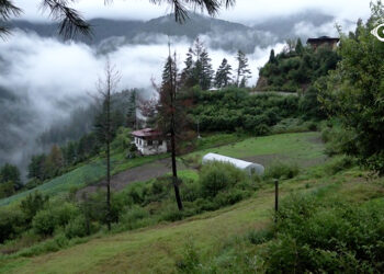 Homes in Paro, census in Haa: Three Bachakha households face service gaps