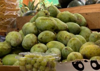 BFDA tightens controls on imported Langra mangoes after calcium carbide detected