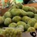 BFDA tightens controls on imported Langra mangoes after calcium carbide detected