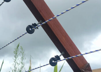 Farmers redesign fence, double their harvest in Wangmakhar