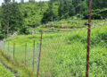 Nyalakha farmers test new hybrid fence to reduce wildlife damage