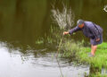 Reviving water source through watershed management