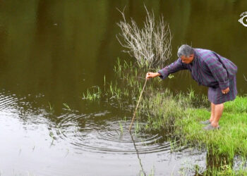 Reviving water source through watershed management