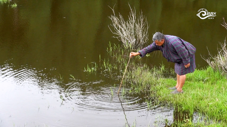 Reviving water source through watershed management