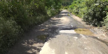 Shengana-Dzomi road project faces delays and pothole problems