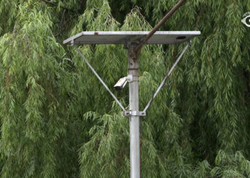 CCTV surveillance curbs littering in Thimphu
