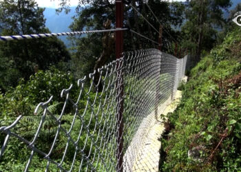 New fence protects Shongphu farmland, but neighbouring farmers fear rising wildlife damage