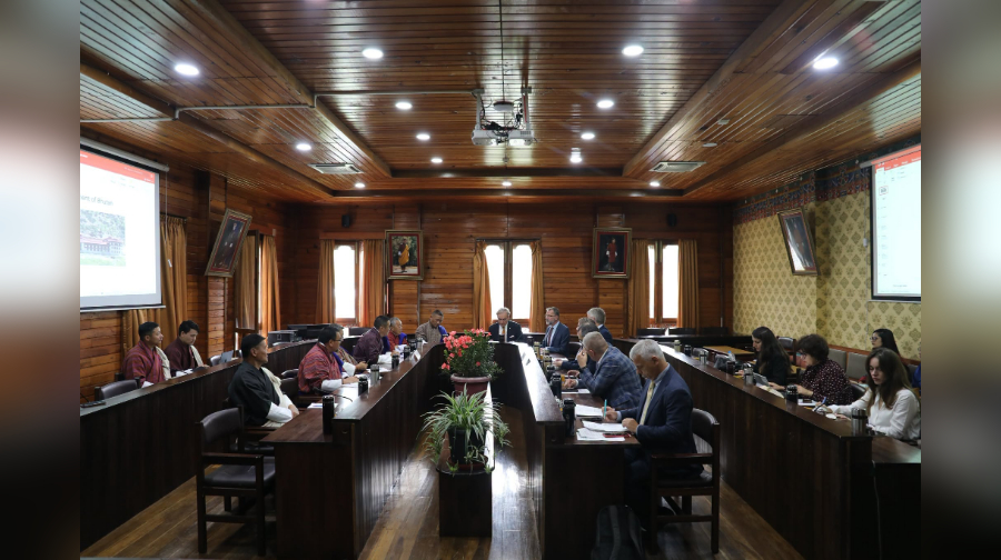 Bhutan, EU parliamentarians discuss climate, energy and development