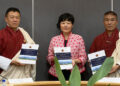 New framework to strengthen climate-resilient urban planning