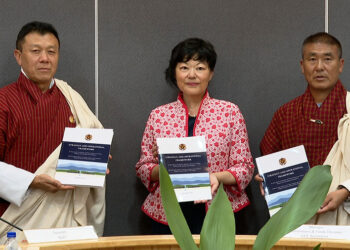 New framework to strengthen climate-resilient urban planning