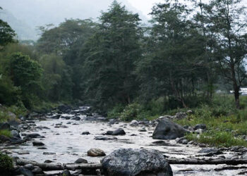 Bhutan launches Gross Ecosystem Product