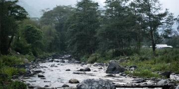 Bhutan launches Gross Ecosystem Product