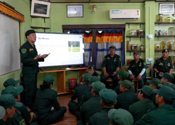 Forest teams deployed across 17 areas to prevent elephant encounters 