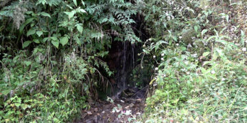 Water shortage is drying up farms and daily life in Tili