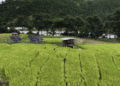 Empowering women through solar-powered irrigation