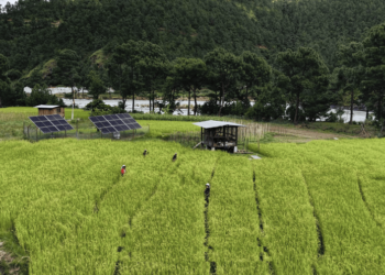 Empowering women through solar-powered irrigation