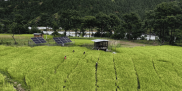 Empowering women through solar-powered irrigation