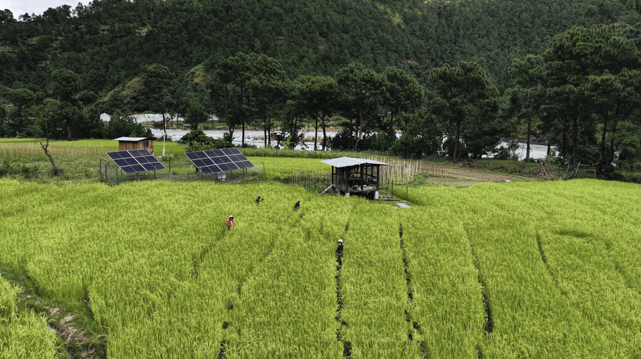 Empowering women through solar-powered irrigation